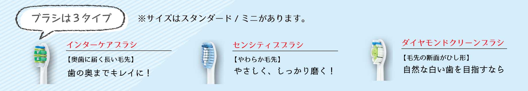 ブラシの種類とサイズ